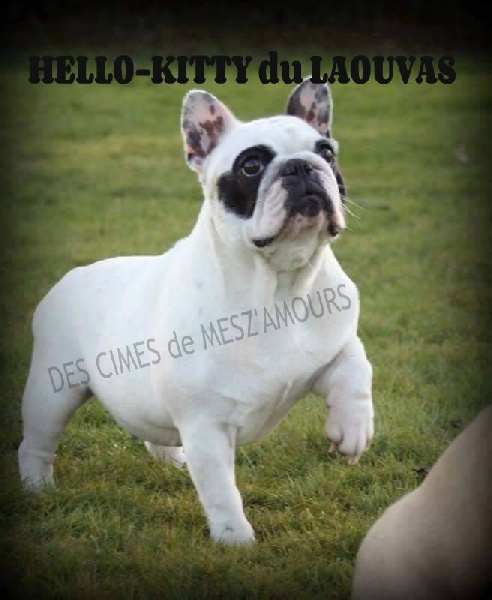 Hello-kitty du laouvas