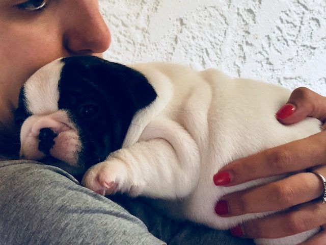 du laouvas - Ce câlin, tout est dit !!!! <3