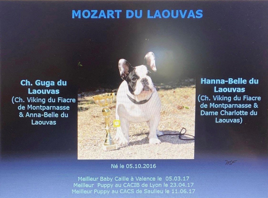 du laouvas - Mozart du Laouvas !