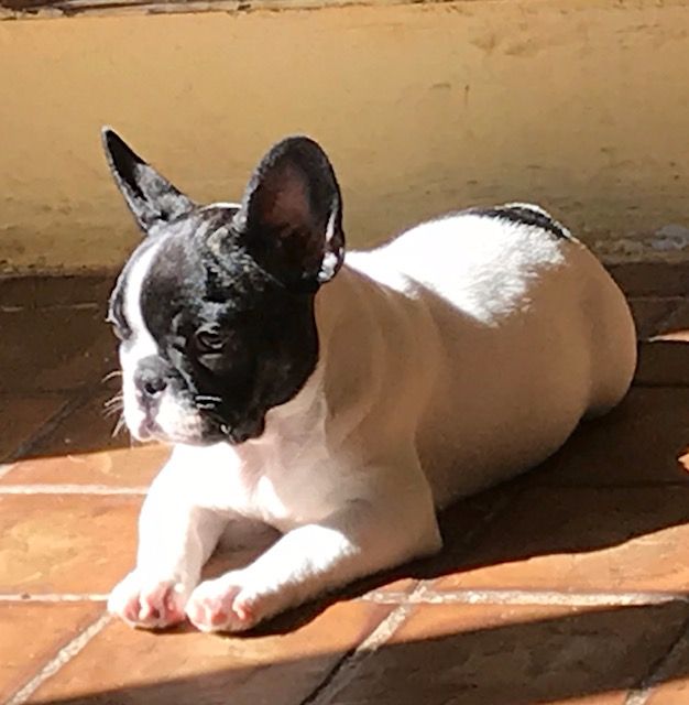 du laouvas - N,Donna et son grand ami le soleil !!