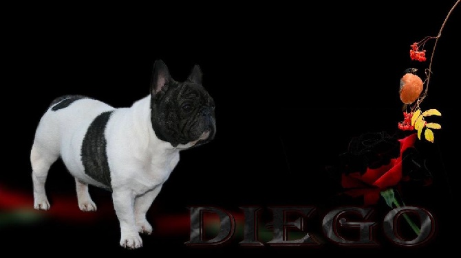 du laouvas - Diego du LAOUVAS